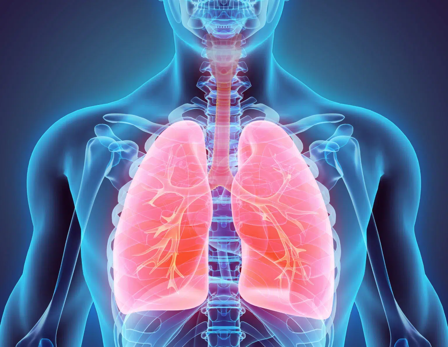 image Physiothérapie Cardio-respiratoire